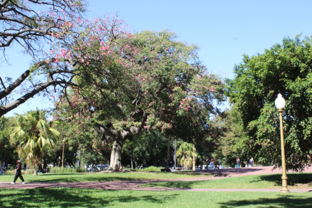 Agenda cultural Buenos Aires: semana del 24 al 30 de agosto de 2026