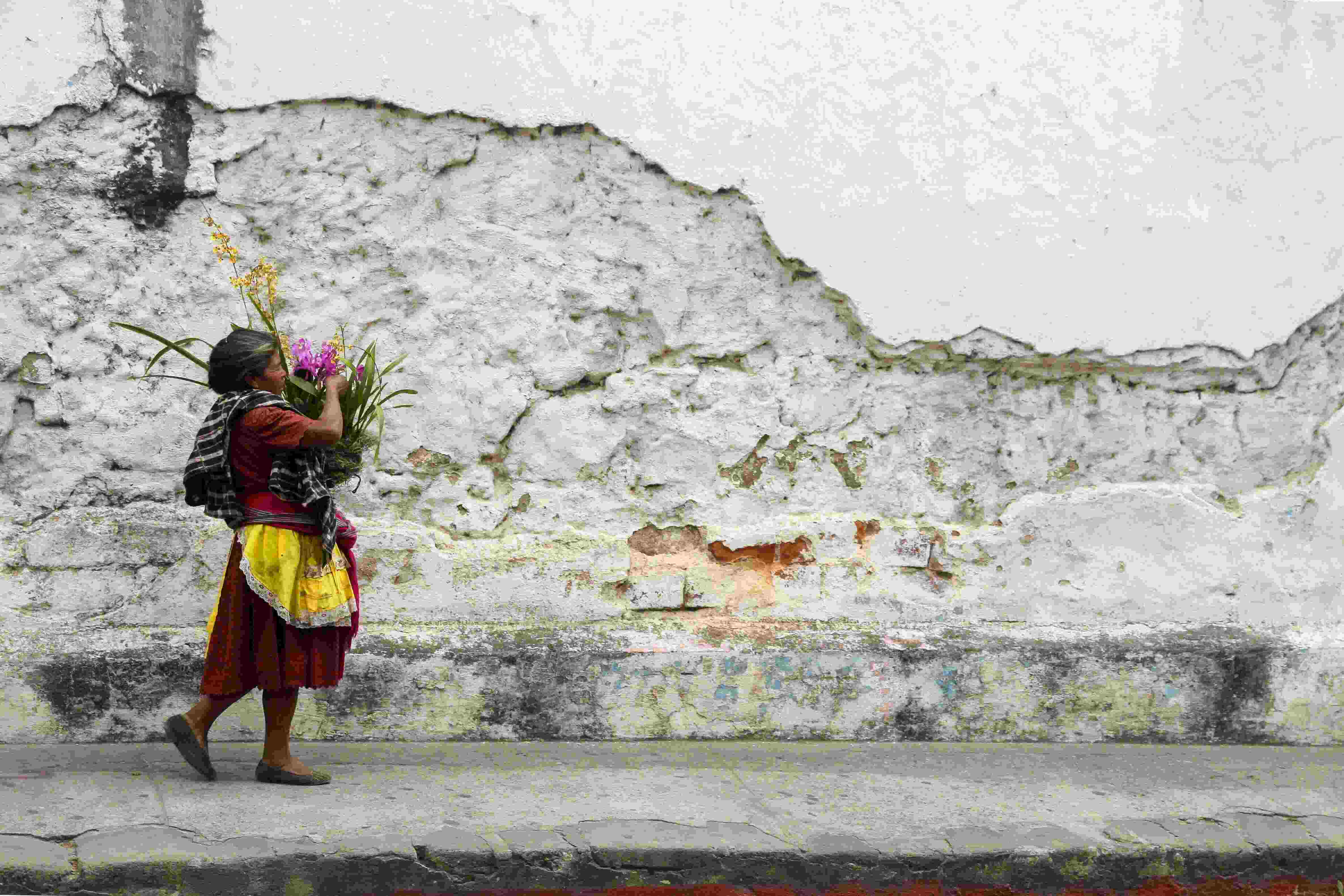 24 de julio – Día de la Integración de América Latina