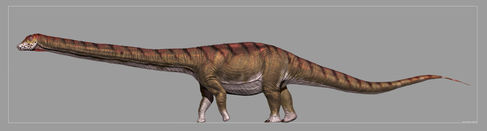 Patagotitan Mayorum en Buenos Aires: el dinosaurio gigante que podés conocer