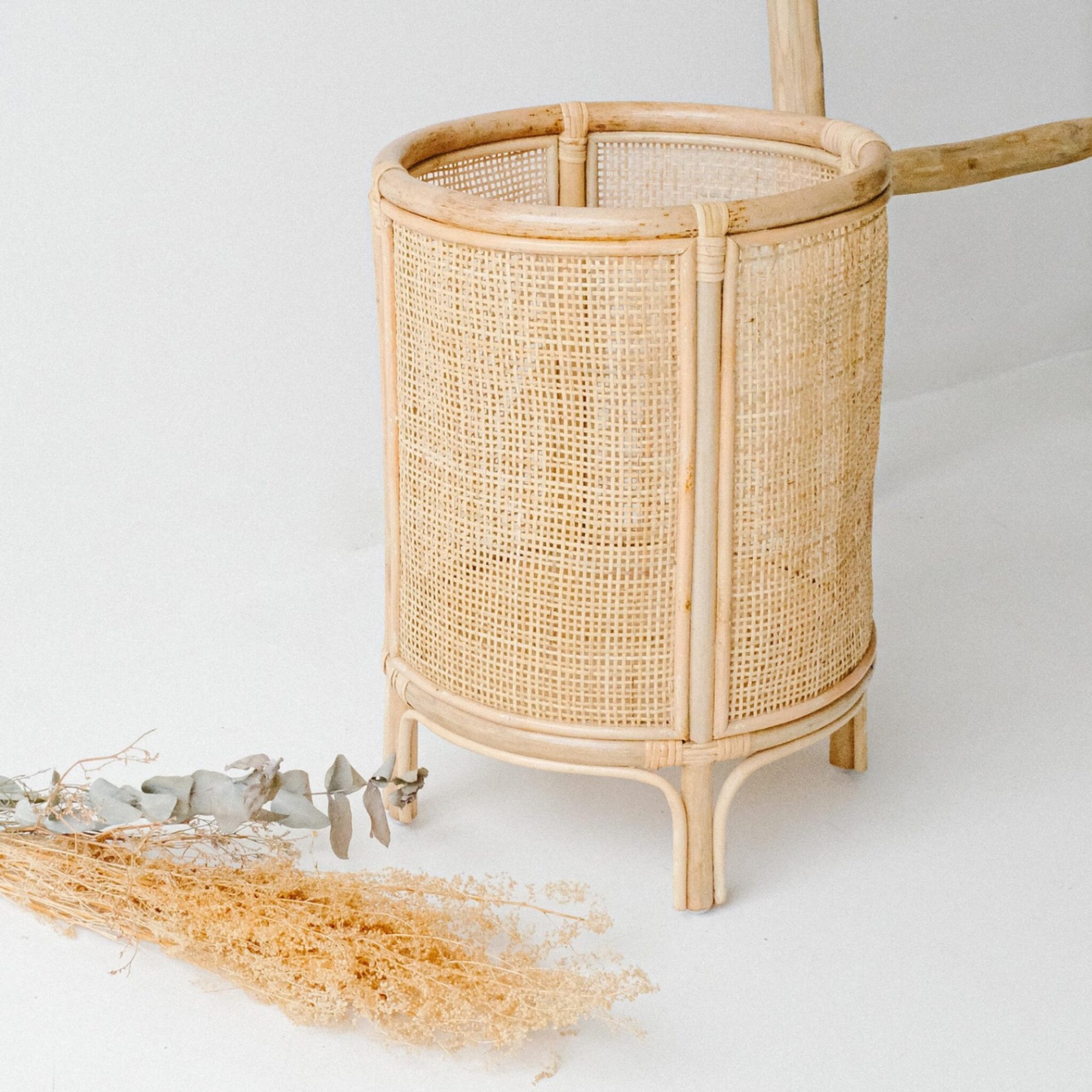 Maceta Vase