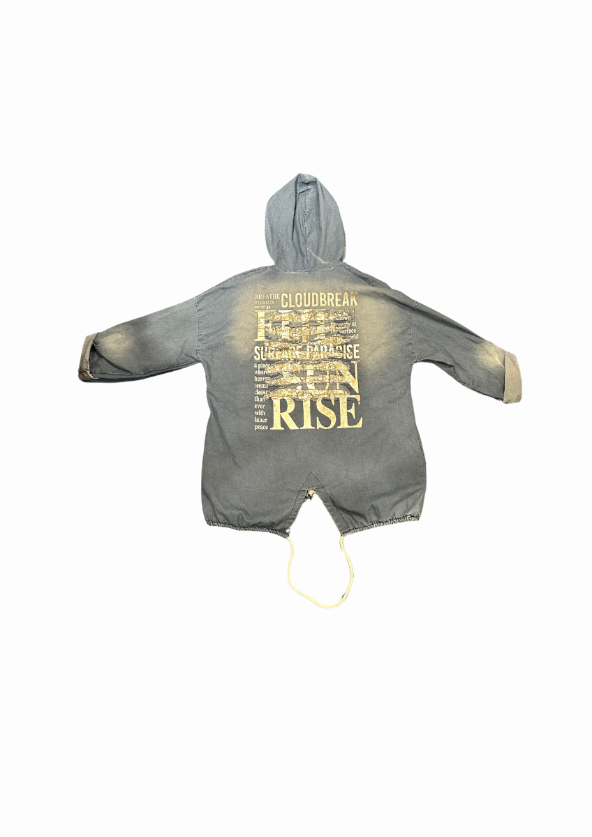 Campera Glitter Jean 